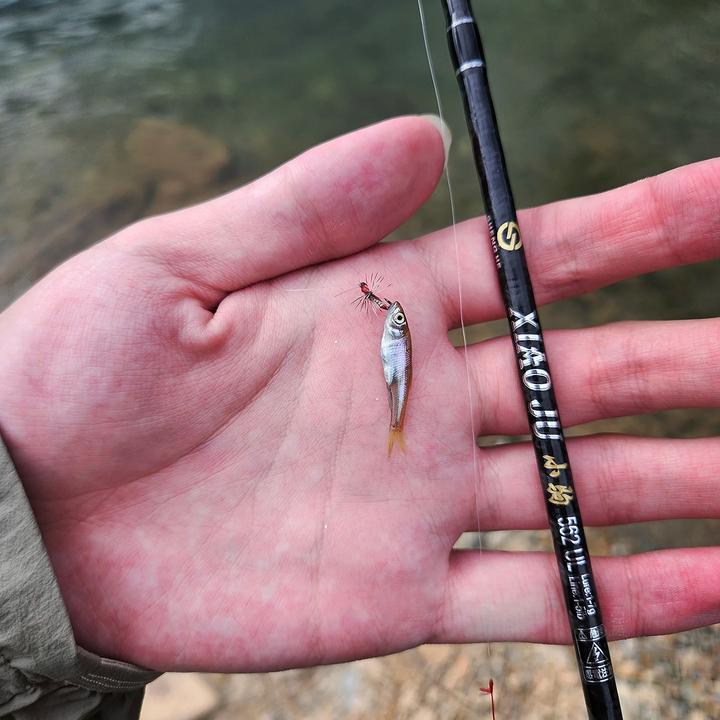 小野🎣路亚