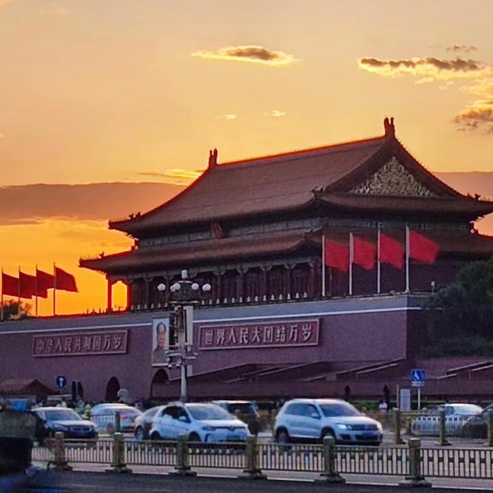 紫竹_2255009