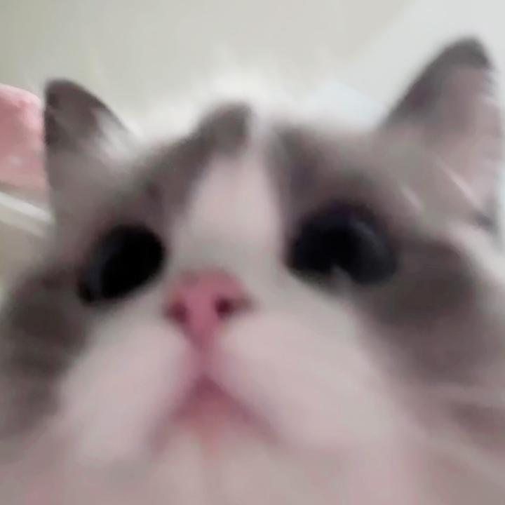 可爱的裤头