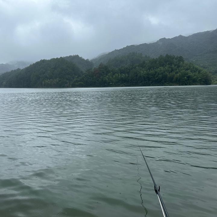 野钓大勇哥🎣