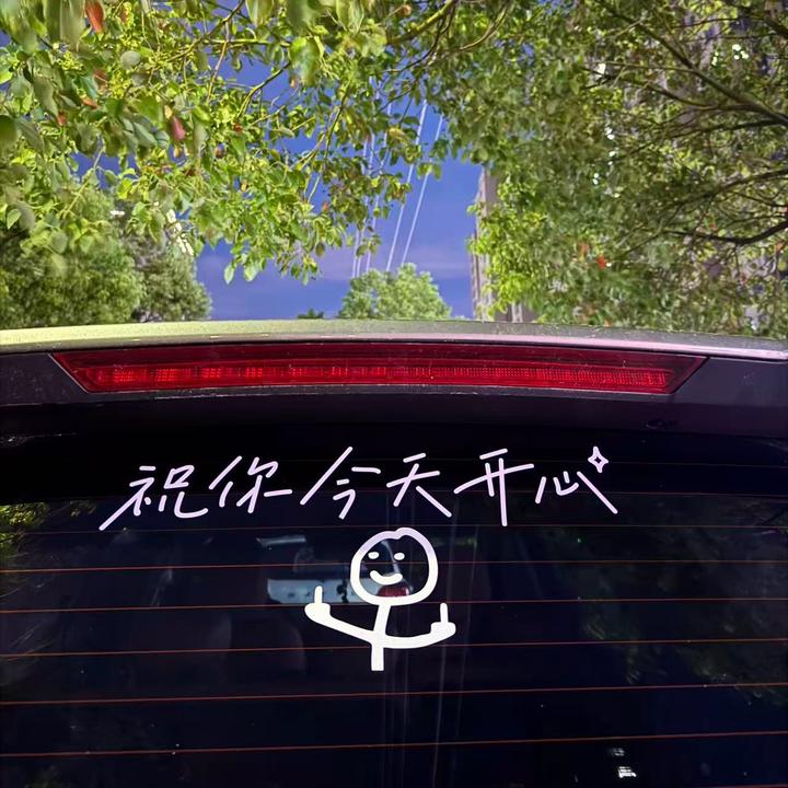 魏大帅！