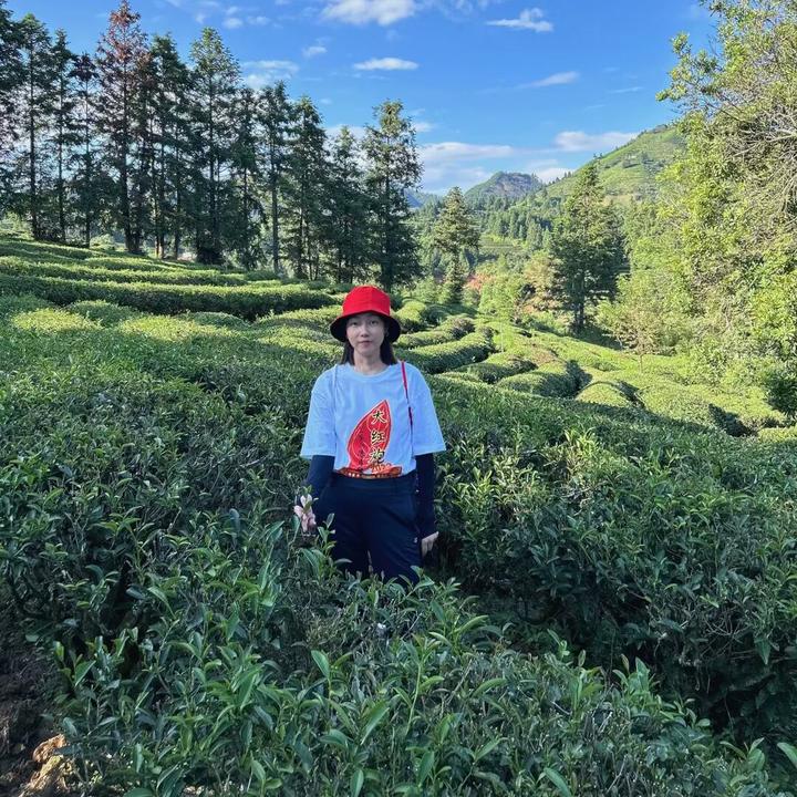 @华姐🍃