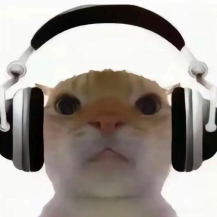 鼠鼠学钢琴🎹（硬磕版）