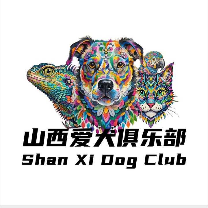 山西爱犬俱乐部【SXDC】