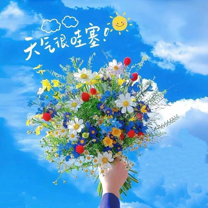 向日葵。