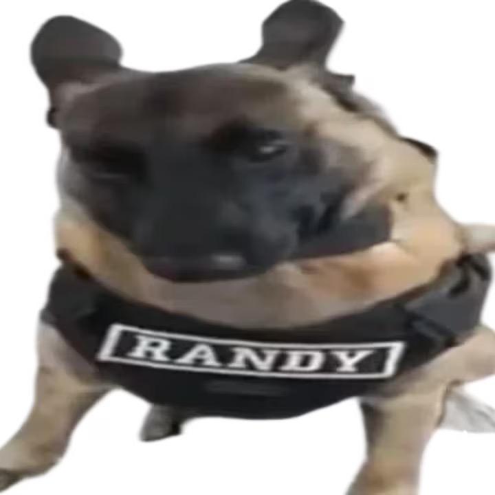 qoop