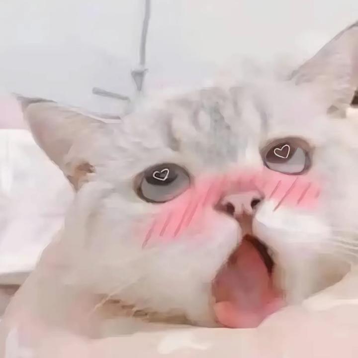 小渝的帕萨特