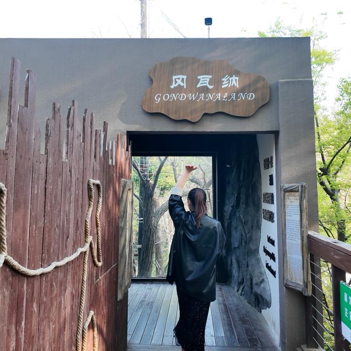 小殷酱