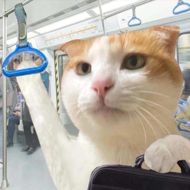 把爱留在iPhone（🐟淘机）
