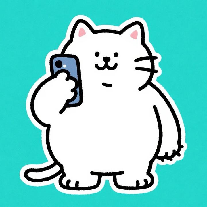 胖猫超会玩