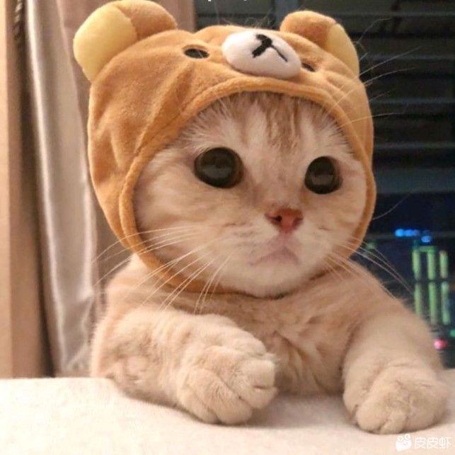 小黑哥