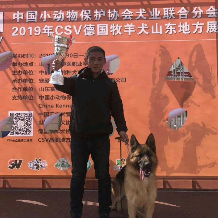 赵鑫犬舍（寿光）