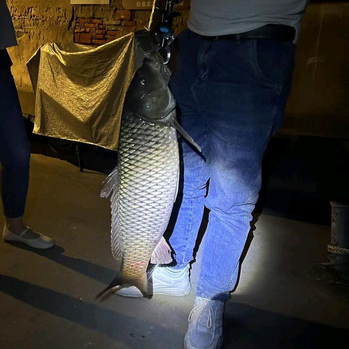 🎣钓鱼佬✔爱养鱼🎣