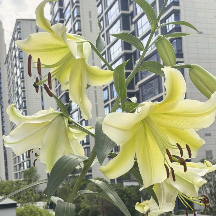 云☁汐