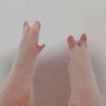 小考者