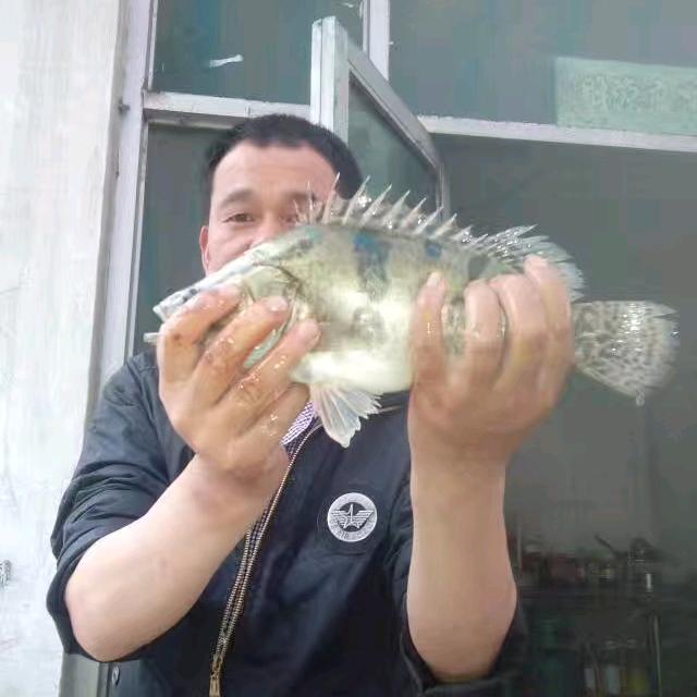 武哥户外