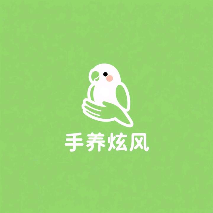 电fu干饭鸡