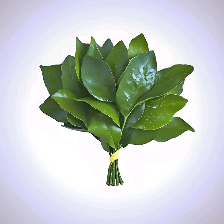 迷人酎丶