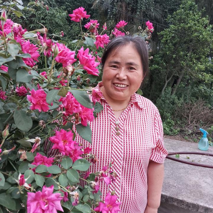 张玉英头像