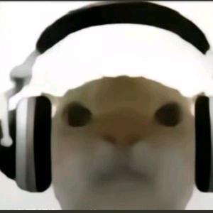 鼠鼠