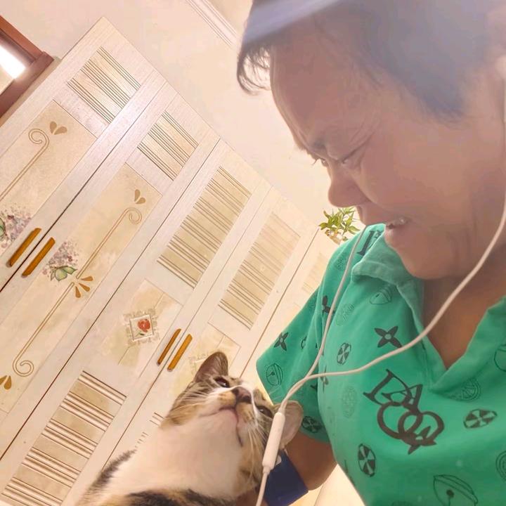牵手百荷