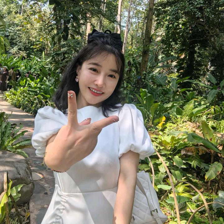 桃夭