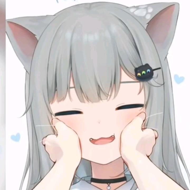 师奈猫