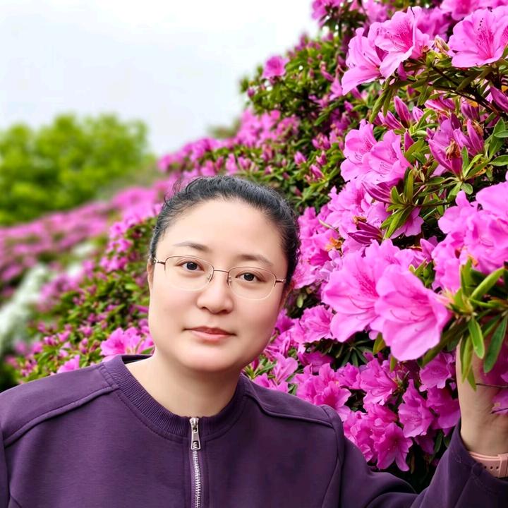 念泓
