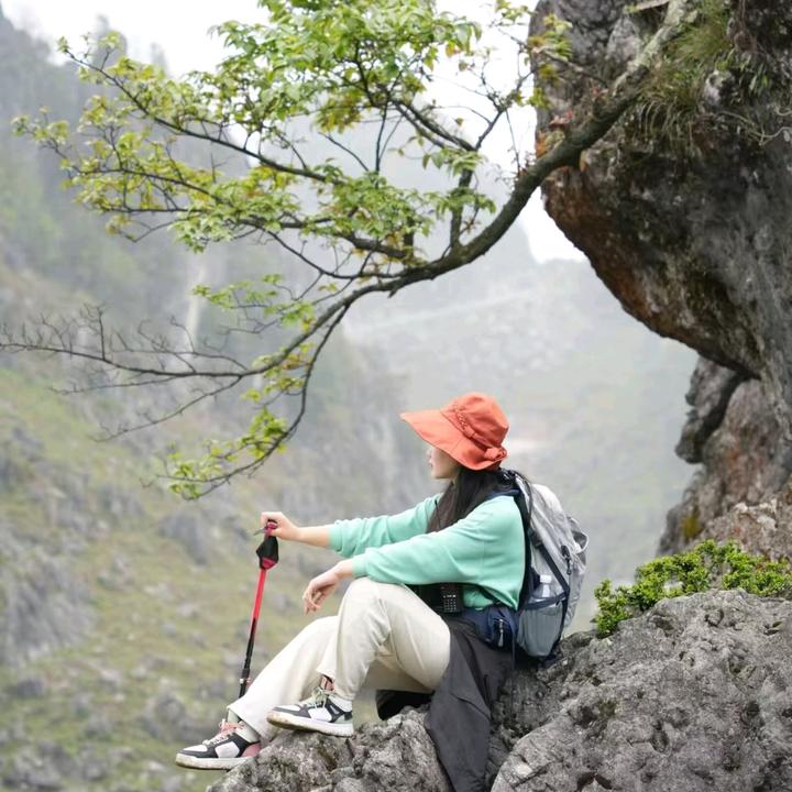 自由风