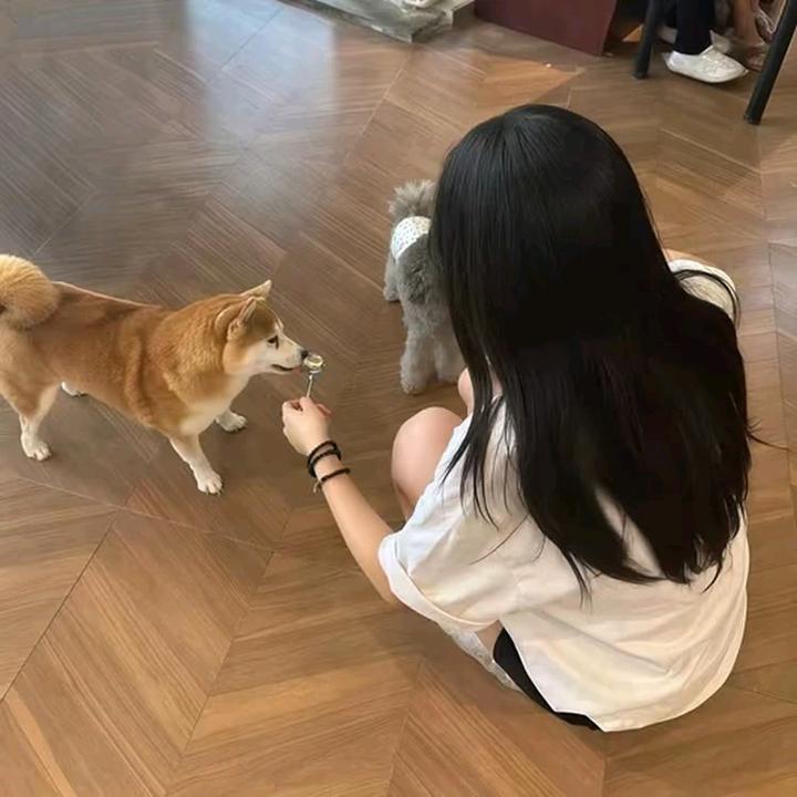 有你便是甜、