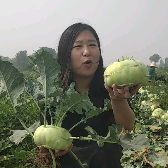 农业交流群 群聊头像