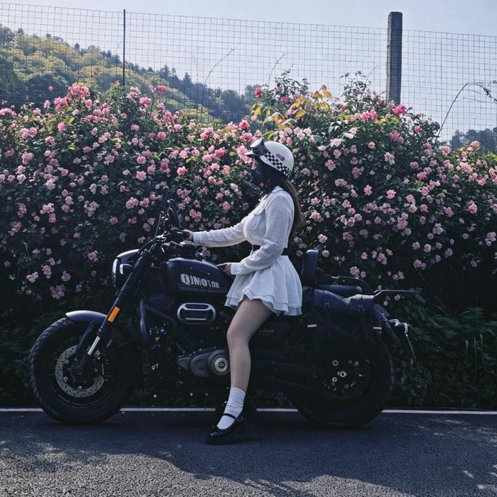 逐风.