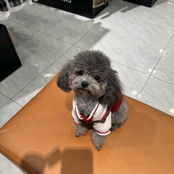 郭小蝈