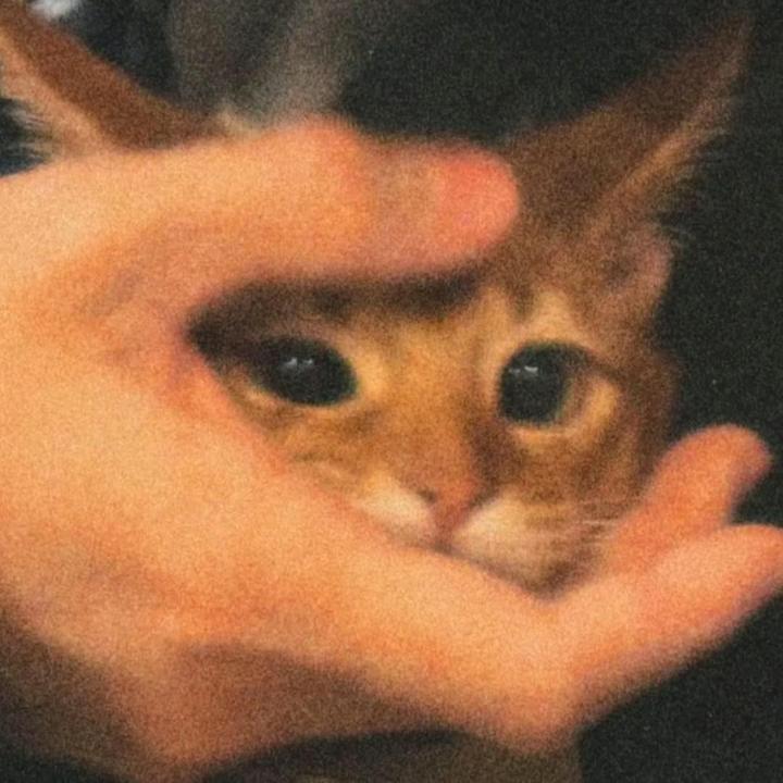 芜