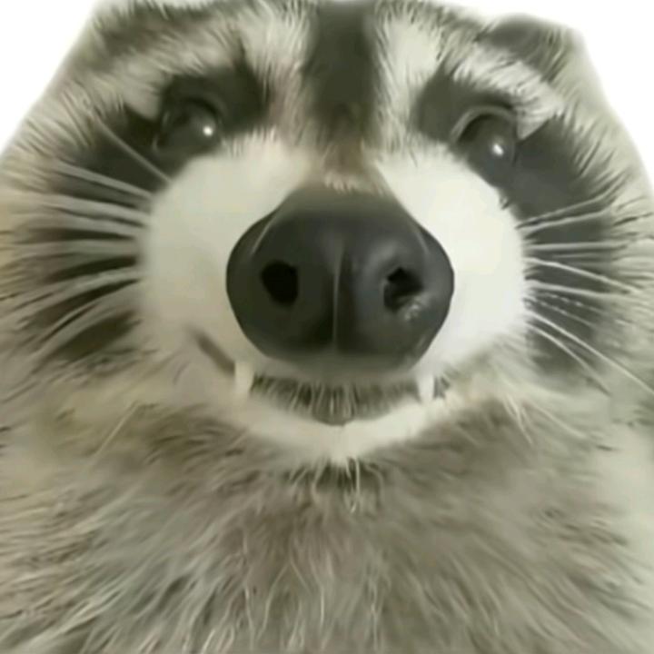 声韵工坊