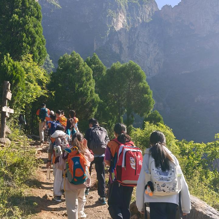 鑫乐(户外版)✨