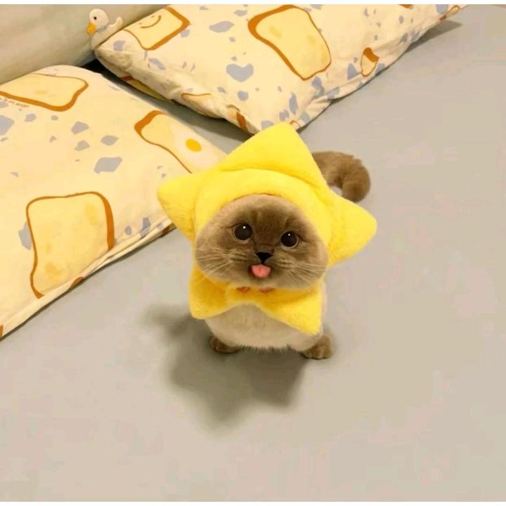 源源~