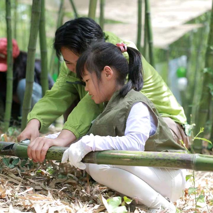 🌲十月木林研学🌲花生