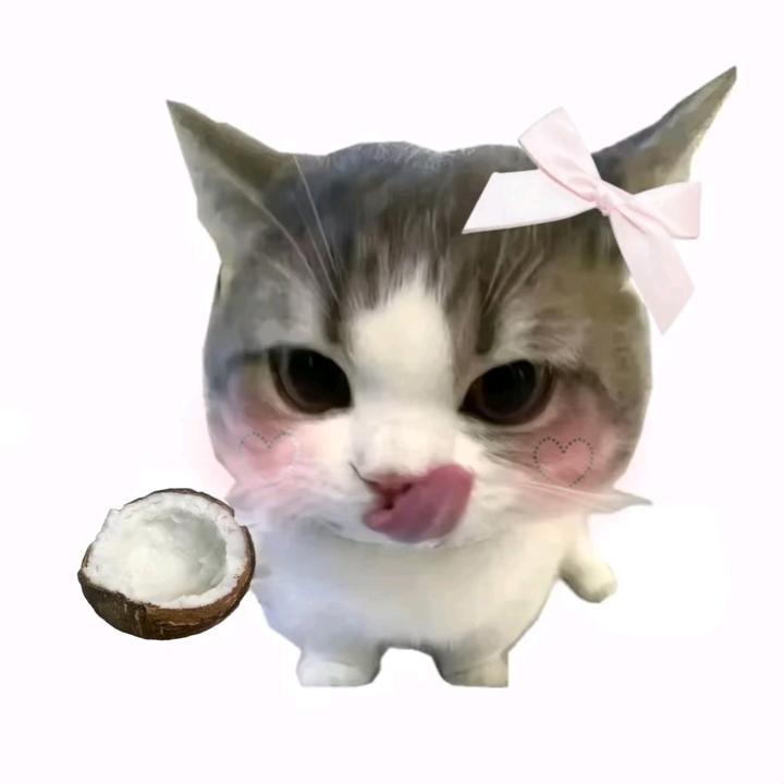 𐙚‧₊˚养鬼天菜ིྀ🐾