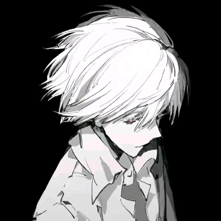 风蔻.逸