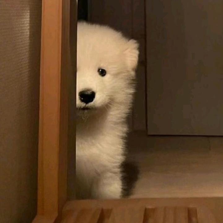 xuu.
