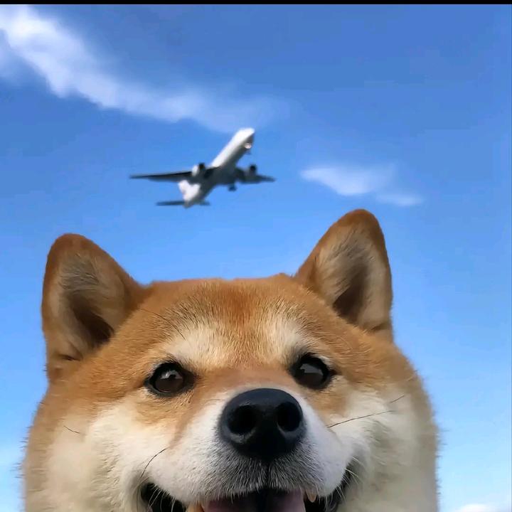 史蒂夫