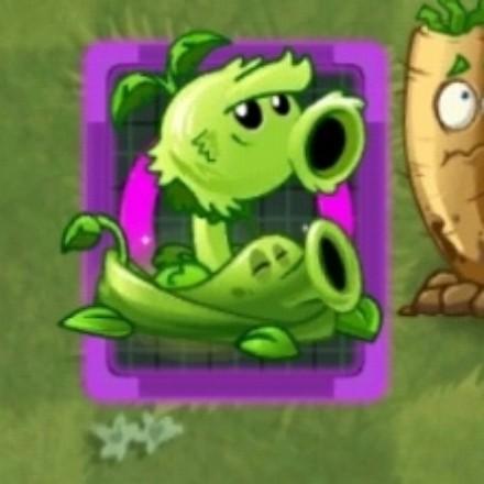植物小橙ZWXC