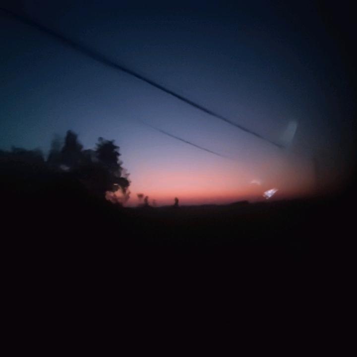 陈 诺