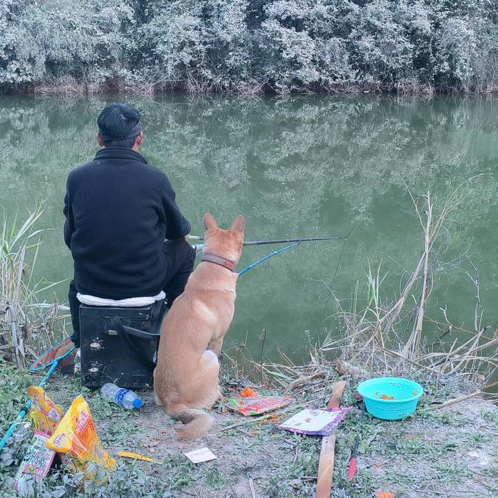 鲤鱼李游钓（云南探钓中……）