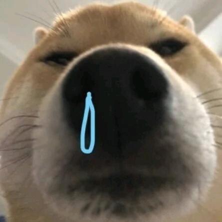 榴莲大王