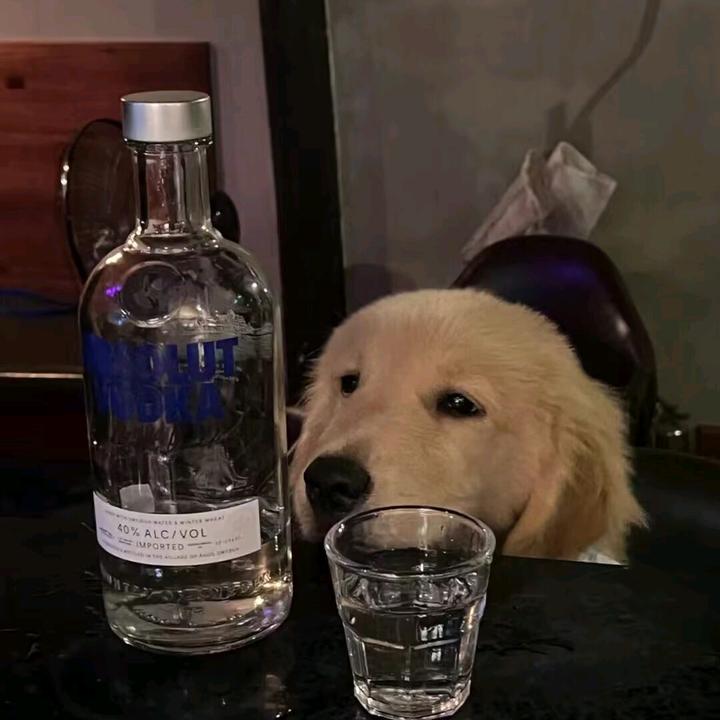 陌上I花开