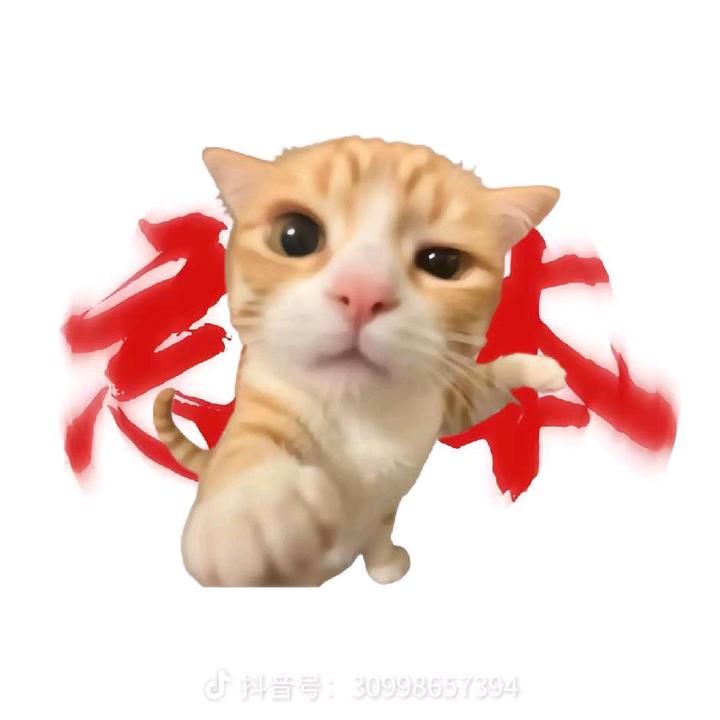 𝓊𝓃𝒷𝓃_忘本