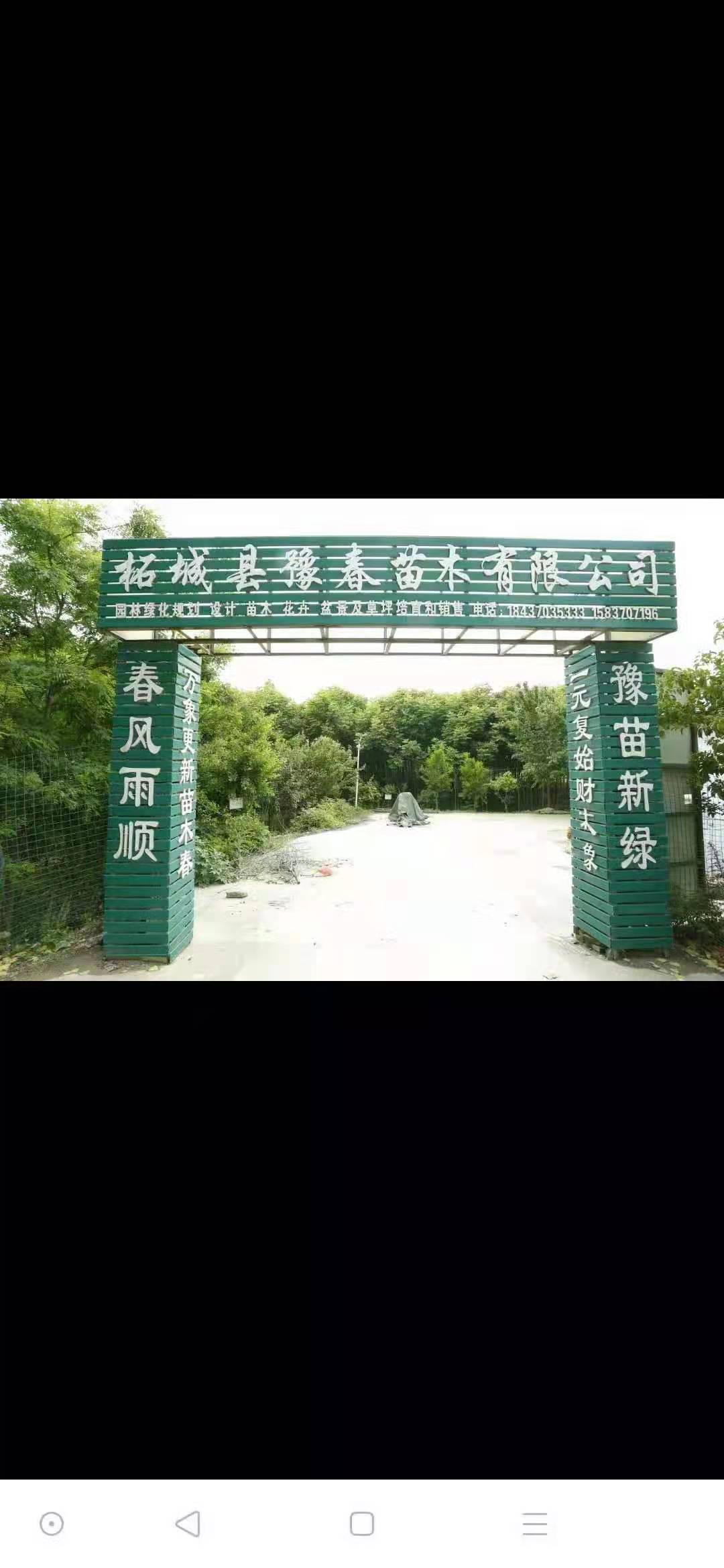 柘城县豫春种植农民专业合作社的小店