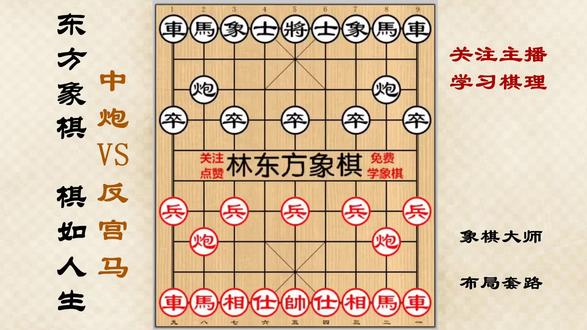 王天一最偏爱的象棋布局,反宫马弃马布局套路,象棋大师布局精华